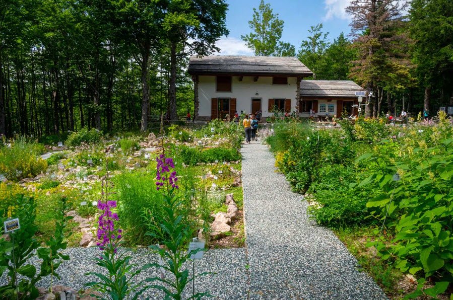 Giardino Botanico Alpino Viote, Italy, Italy